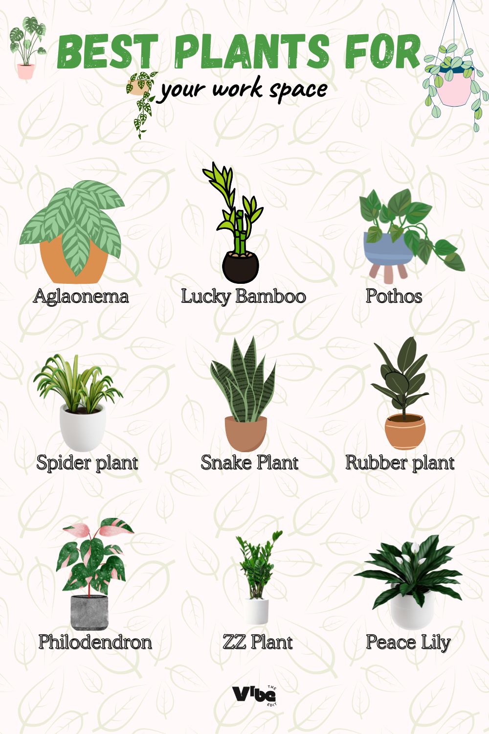 BEST PLANTS FOR YOUR WORK SPACE
