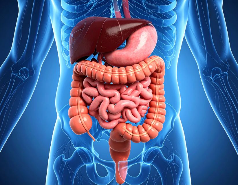 Foods to Avoid with UTI