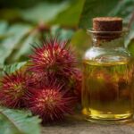 castor oil in belly button